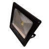 50 Watt Flood Lights